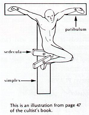 Cux12.jpg